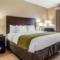 Scott में, होटल Comfort Inn & Suites Scott-West Lafayette