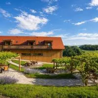 Vino Valdhuber Apartments, hotel en Svečina