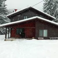 Cabana Elena, hotel u gradu 'Rausor'