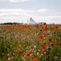 Bamburgh Under Canvas – hotel w mieście Bamburgh