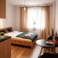 Apartament w Parku 5, hotel a Żywiec