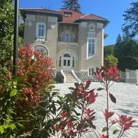 Vila Popovici, hotel i Prăjila