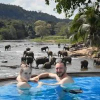 Pinnawala में, होटल Hotel Elephant Bay - World's Best Place to See the Elephants