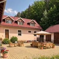 Krásná pod Lysou horou, hotel di Krásná