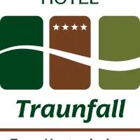 Hotel Traunfall, hotel em Viecht