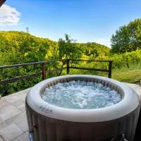 Med trsjem Vineyard Spa Retreat, hotell i Zabok