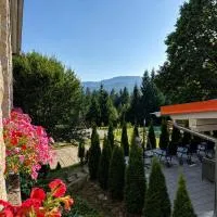 Maiers Hotel, hotel em Bayerisch Eisenstein