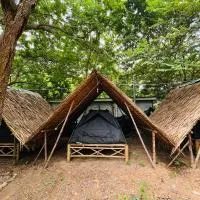 Zulu land Kohlarn, hotell sihtkohas Ko Lan