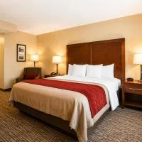 Comfort Inn Pomona near Fairplex, hotel in Pomona