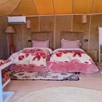 Desert Adventure Camp, hotel a Adrouine