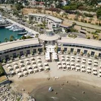 Hotel Riviera dei Fiori, hotel en San Lorenzo al Mare