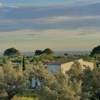 Can Mimosa Guesthouse, ξενοδοχείο σε Τορτόζα