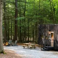 Postcard Cabins Chattahoochee, Outdoor Collection by Marriott Bonvoy, hotel em Suches