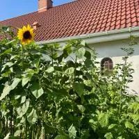 Langagergaard B&B - Thy, готель у місті Тістед