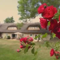 Metsara B & B, hotell sihtkohas Tornimäe