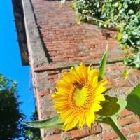 La Torretta - Cozy apartment with garden, hotel i Case Ghisiolo