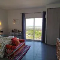Guest-house de l’amandier - Vue cité médiévale, hotel en Roullens
