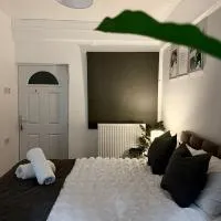 NEWLY DECORATED 2-Guest Studio, FREE WIFI & FREE PARKING - Aroluchi Ville, hotel em Ecclesfield