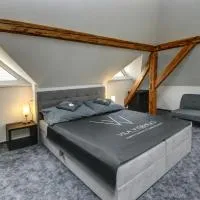 Vila Vyšehrad, hotel in Český Krumlov