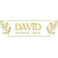 David Moser 1878, hotel a Kars