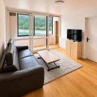 Charmant appartement T2 avec coin montagne vue lac, ξενοδοχείο σε Laruns