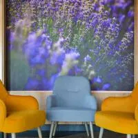 Mercure Medias Binderbubi Hotel And Spa, hotel en Mediaş