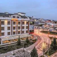 Teona Hotel、コジャエリのホテル