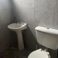 Las palmeras, hotel i Lobos