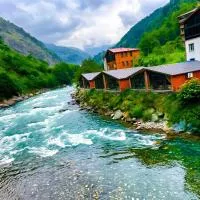 AYDER Diamond River - Luxury Bungalows & Chalets, hotel in Çamlıhemşin