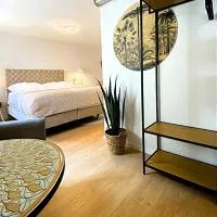 Altstadt Boutique mit Lift, Küche und Bike-Raum, hotel v destinácii Stein am Rhein