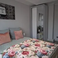 Atrakcyjny Apartament w centrum, hotel en Tarnowskie Góry