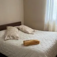 departamento Eli، فندق في فالديفيا