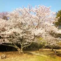 洲本家 SUMOTOYA: Sumoto şehrinde bir otel