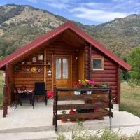 Wooden house, hotell sihtkohas Šavnik