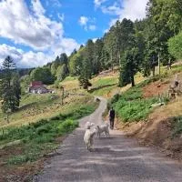 Chambres IM-BERG, hotel a Metzeral
