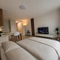 Modern PREMIUM apartment Private Parking, hotel in Trenčín