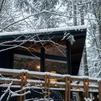 Mid-century Cabin Hideaway - Hot Tub & Fire Pit、Rhododendronのホテル