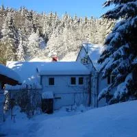 Ferienwohnung Bauer Alter Hammer, hotel din Schmiedefeld am Rennsteig