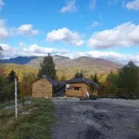 Cabana doi mesteceni – hotel w mieście Drumu Carului
