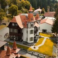 Sovata में, होटल Turul Villa
