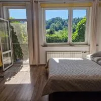 Zielona Przystań Apartament z widokiem na Pieniny, hotel i Jaworki