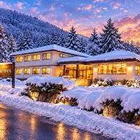 Hakuba में, होटल Hakuba Park Hotel