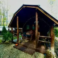 Big Bear Log cabin, hotel di Cosby