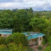 Muga Eco Village: Ntungamo şehrinde bir otel