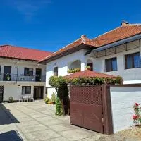 Pensiunea Ileana, hotel a Novaci-Străini