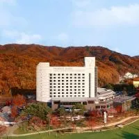 Phoenix Hotel Pyeongchang, hotel in Pyeongchang