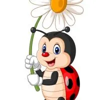 Les coccinelles bretonnes, מלון בפלואסקט