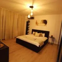 CC Accommodation，Popeşti-Leordeni的飯店