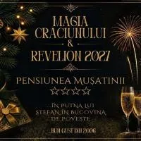 Putna में, होटल Pensiunea Mușatinii