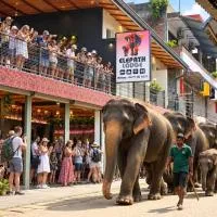 Elepath Lodge Pinnawala-Stay Where Elephants Walk to Bathe, hotel v destinaci Pinnawala